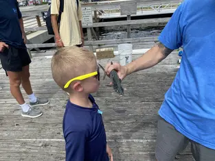 2021 Carolina Beach Fishing Photo - Wild Rover III